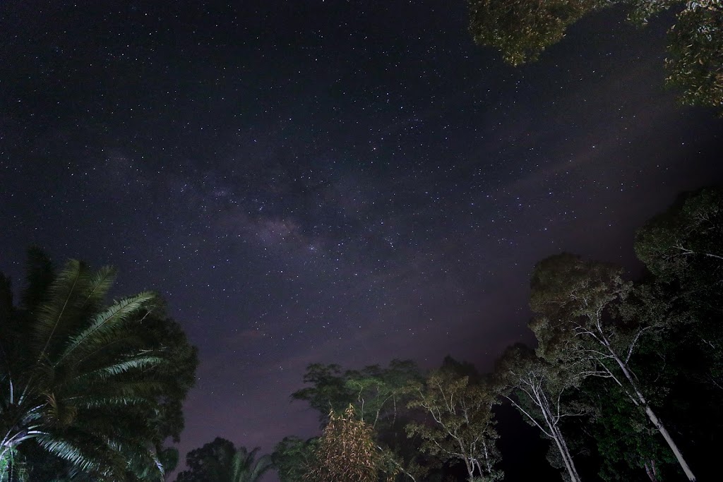 Dinopium Hill Campground